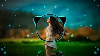 Future House Slow! - Not You ( Awan Axello Remix )