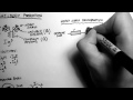 B-Cells 2 - Antibody Production and Recombination