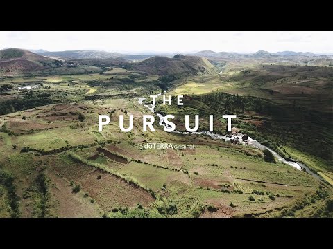 Co-Impact Sourcing: The Pursuit - Clove (Translated Subtitles)