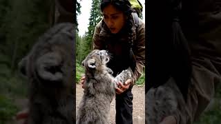 Вот Так Встреча