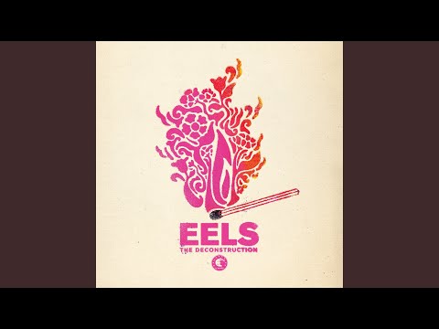 You Are the Shining Light - Eels