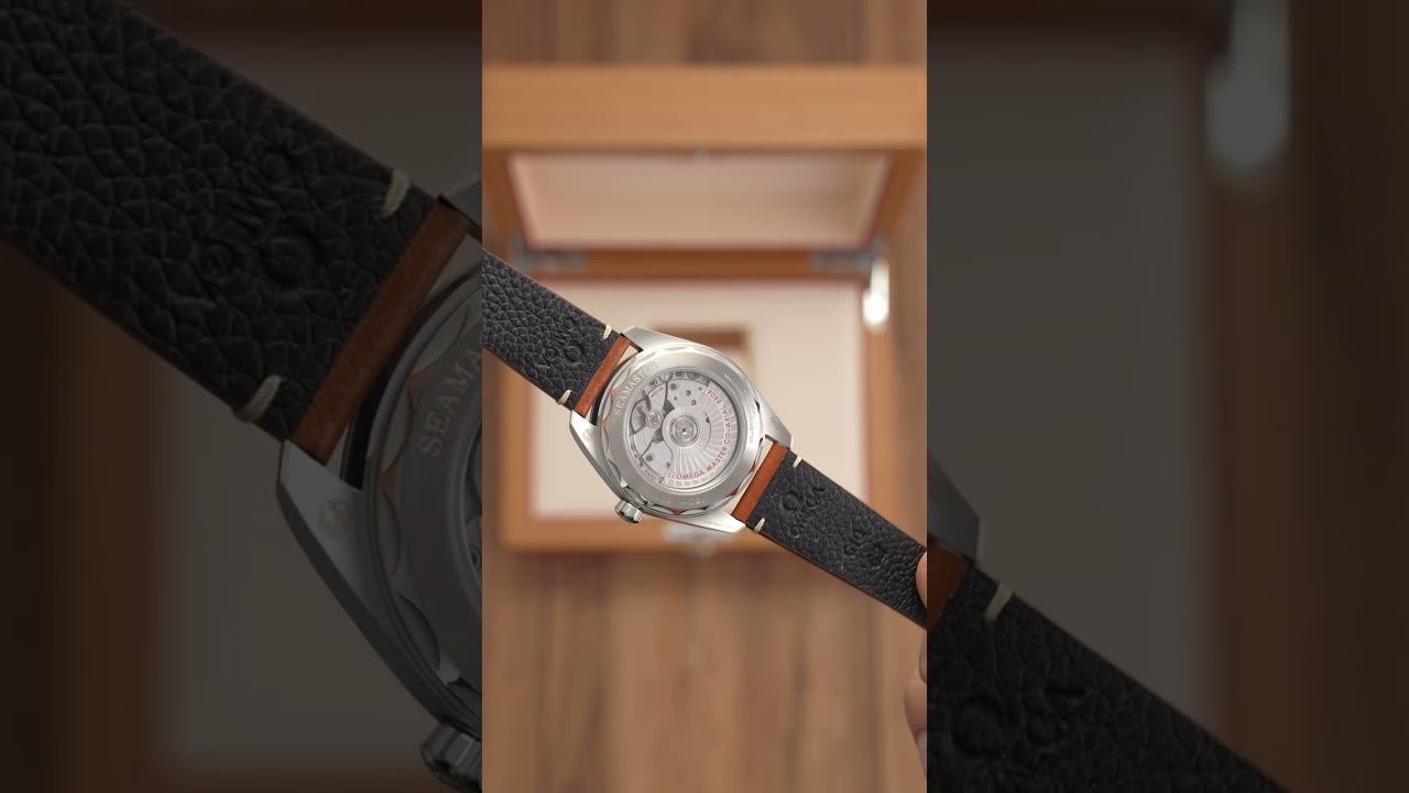 OMEGA Seamaster Railmaster