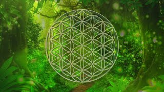 [1 Hour] 60 MINUTES The Sound of Inner Peace 4 528 Hz Relaxing Music for Meditation & Deep Sleeping by Dream Reality Meditation Music 96 views 5 months ago 1 hour, 22 minutes