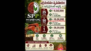 #Redsandal#bestprofits#bestinvestments#sai properties & projects limited9059847897 #25 cents9,50,000