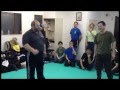 Mikhail Ryabko Systema Japan Special Class 18th March 2013 Clip 4