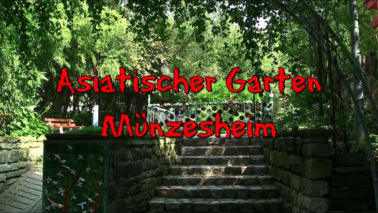 Asiatischer Garten Münzesheim YouTube