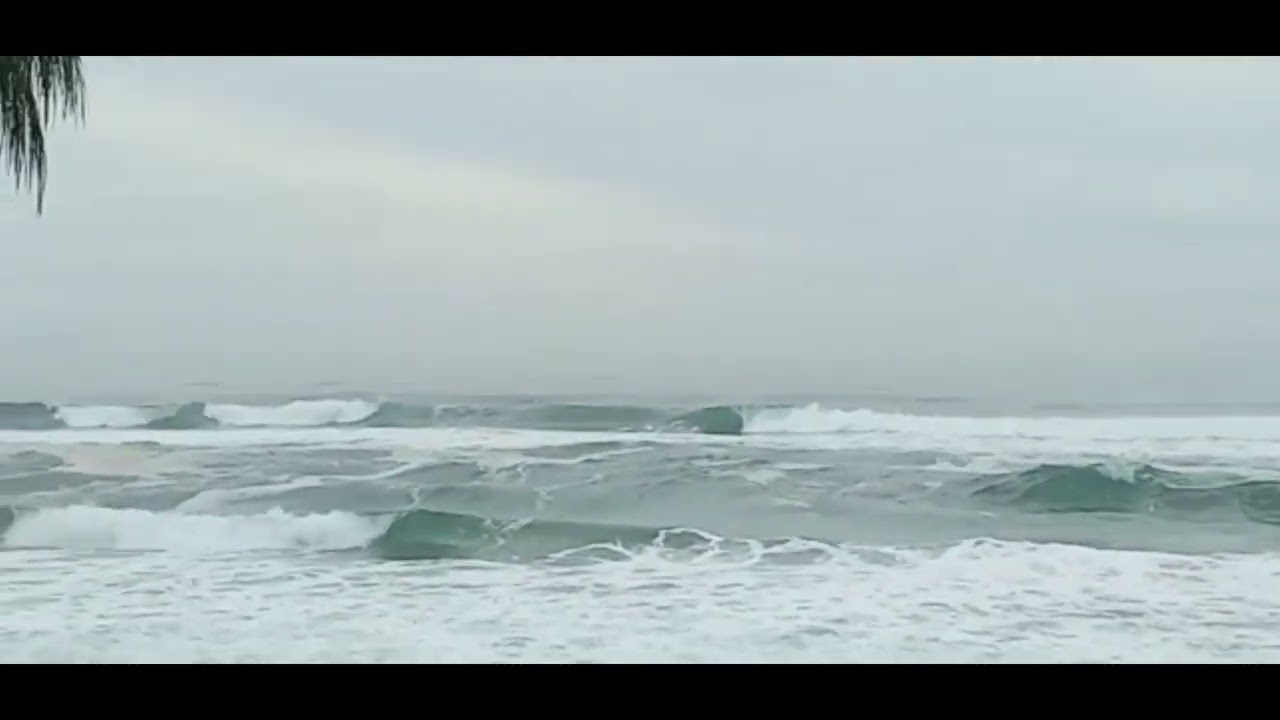 Vídeo Boletim OndasdoSul Moçambique por @shorelinesurfskate