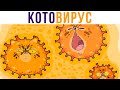 КОТОВИРУС (распространите) )) Приколы с котами | Мемозг 708