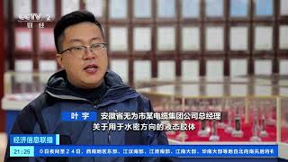 [经济信息联播]电缆小镇：构筑工业“血管”| 财经风云