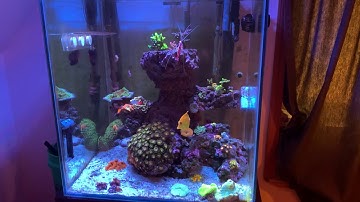 How to control Phosphate