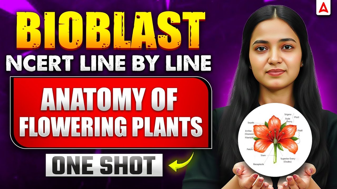NEET 2026 Biology: Anatomy of Flowering Plants Class 11 Chapter - 6 ...