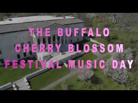 Video: Washington, DC's Cherry Blossoms Blooming Thaum Ntxov Xyoo no. Nov yog Thaum Yuav Mus