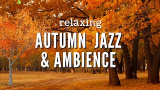 RELAXING AUTUMN AMBIENCE AND JAZZ MUSIC by The Calming Cafe 413 views 9 months ago 2 hours, 24 minutes