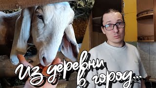 001. Из деревни в город. Ремонт дело не быстрое. 45 кв. метров разрухи.