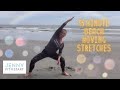 15 minute FEEL GOOD total body stretches with movement!