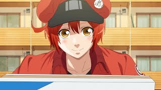 Muse Asia - Cells at Work!! - Special Screening Edition ⛏️ Character  Feature Our fan favourite - Red Blood Cell! Voiced by Kana Hanazawa, Red  Blood Cell is a character from Season