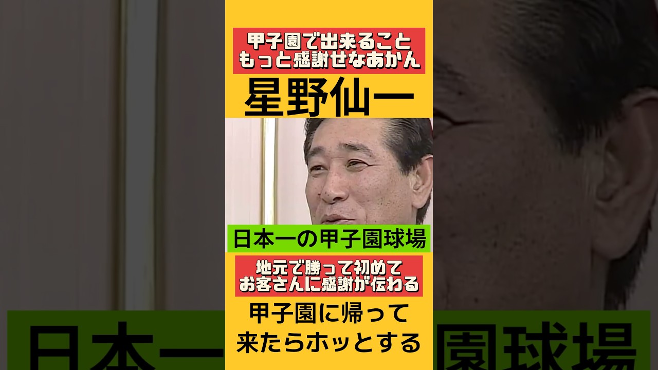 甲子園について語る星野仙一‼️