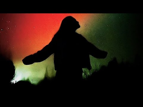НОЧНАЯ ЖИЗНЬ МУЗЫКАЛЬНАЯ ! !linktree !commands !tg