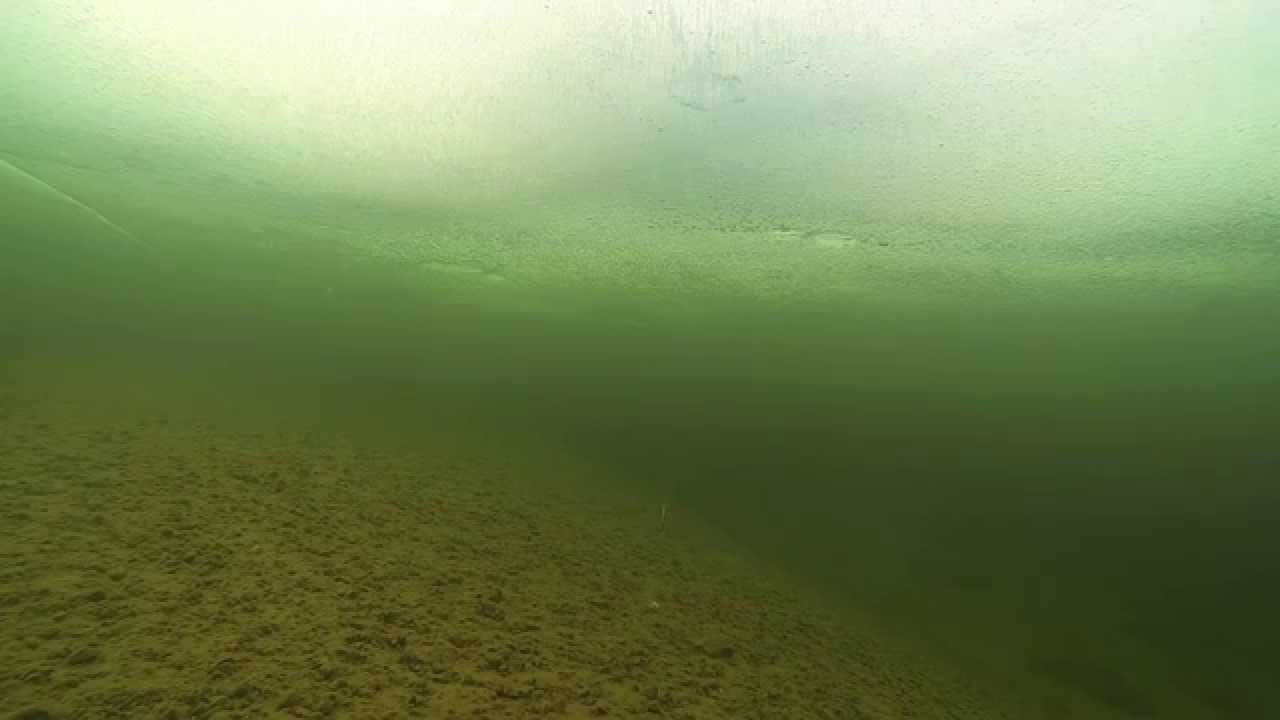 Vinterfiske i arjeplog