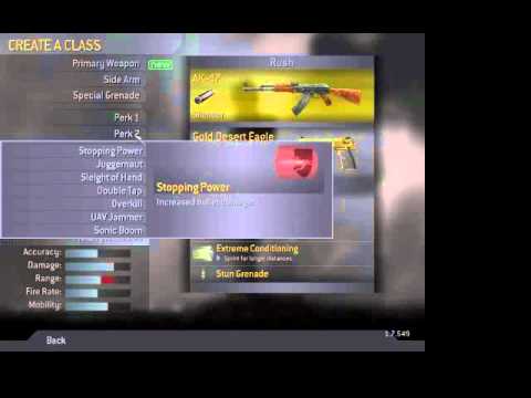 how to get lvl 55, all guns, attachments, perks, camo's (gold) on COD4 mac