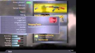 how to get lvl 55, all guns, attachments, perks, camo's (gold) on COD4 mac Wealth