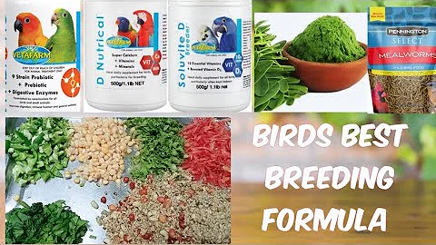 Lovebirds Breeding Formula | Winter Soft Food for ...