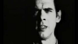 nick cave into my arms