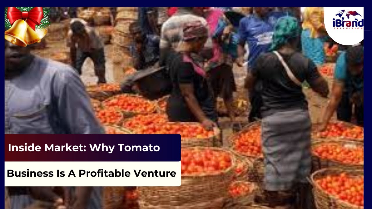 Inside Market: Why Tomato Business Is A Profitable Venture