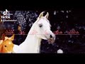 شدي القلب ياخي لايقتلك حبك عاصي الحلاني 1