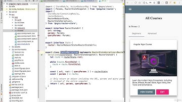 20  Setting up a Time Travelling Debugger with Ngrx Router Store