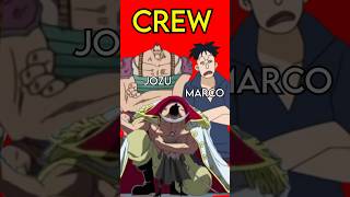 Download Lagu Whitebeards Crew used to look WAY different⦠| One Piece MP3 Download Lagu Whitebeards Crew used to look WAY different⦠| One Piece MP3