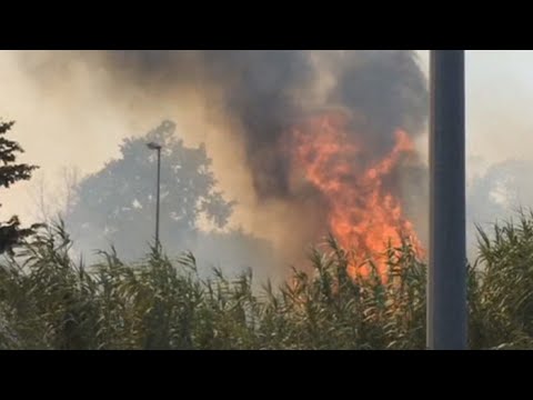 이탈리아 산불 중부까지 확산…라치오 주 비상사태 선포 요청 / 연합뉴스TV (YonhapnewsTV)