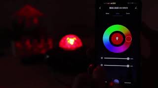 How to Connect the Smart Starry Night Light to Smart Life or Tuya APP screenshot 5