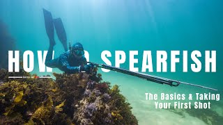 HOW TO SPEARFISH | Taking Your First Shot & Target Practice