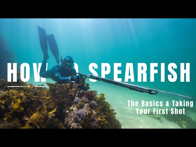 diving spearfishing gun For Maximum Fun 