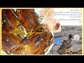 أقوى وألذ بط شرشير من لولى وسوما والطعم يجنن Tasty Gargani