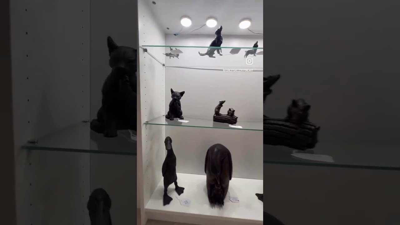 Inside Forest Gallery Petworth | Fine Art, Originals & Sculpture