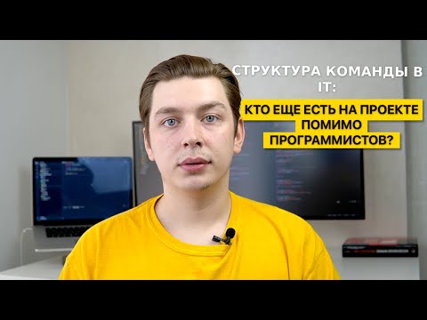 Как работают программисты: Структура IT команды