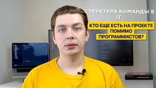 Как работают программисты: Структура IT команды