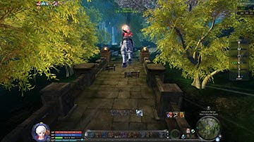 Aion-NA 14/4/18 (2) Bug abuse on Daeva run