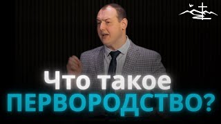 видео: Что такое Первородство? | Александр Степанченко | Проповедь картинка: Что такое Первородство? | Александр Степанченко | Проповедь