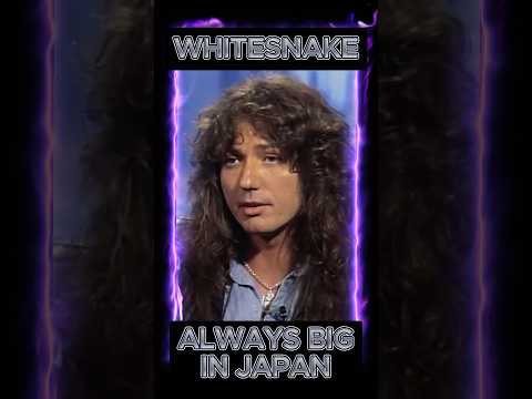 WHITESNAKE's David Coverdale