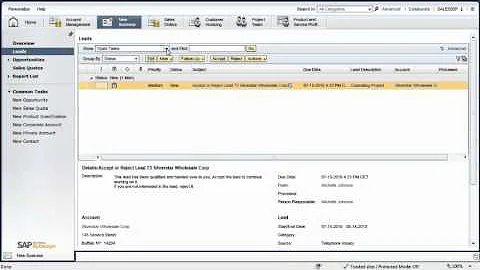 Managing Sales Strategy with SAP Business ByDesign: Solution Demo
