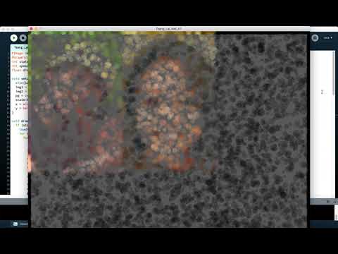 SM2715 Creative Coding - Assignment 1 Image Processing