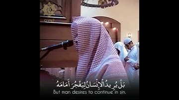 {أيحسب الإنسان ألن نجمع عضامه...}. تلاوة عطرة للقارئ الشيخ ناصر القطامي 🌹