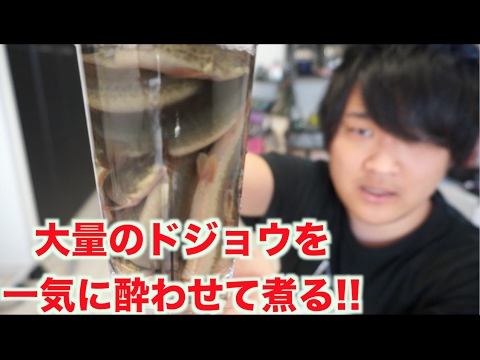 大量のドジョウをそのまま卵とじ丼にして食べるよ Youtube