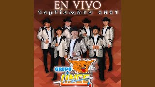 Miniatura del video "Grupo Lince - El Gato y Yo (En Vivo)"