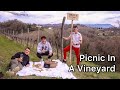 Perfect Picnic in a Vineyard