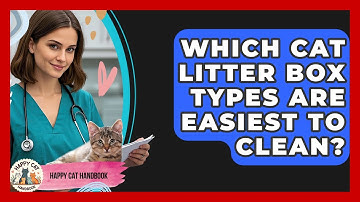Which Cat Litter Box Types Are Easiest To Clean? - Happy Cat Handbook