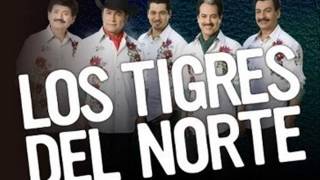 Video thumbnail of "Enamorate De Mi-Los Tigres del Norte"